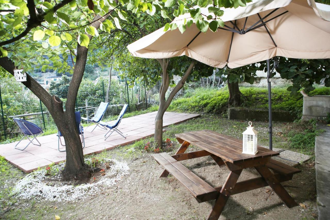 Casa Rosa Appartamento Con Giardino 세타라 외부 사진